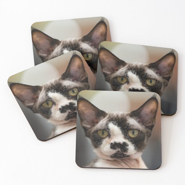 Item preview, Portrait of a cat designed and sold by ART-SUNRISE.