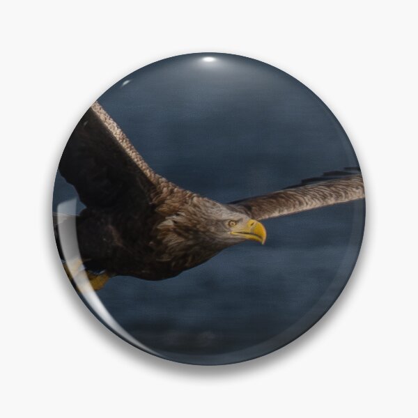 Item preview, white-tailed eagle designed and sold by ART-SUNRISE.