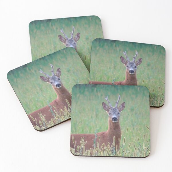Item preview, Roe Deer Buck in a Summer Meadow designed and sold by tothkataphoto.