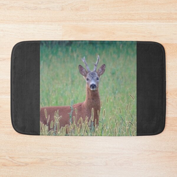 Item preview, Roe Deer Buck in a Summer Meadow designed and sold by tothkataphoto.