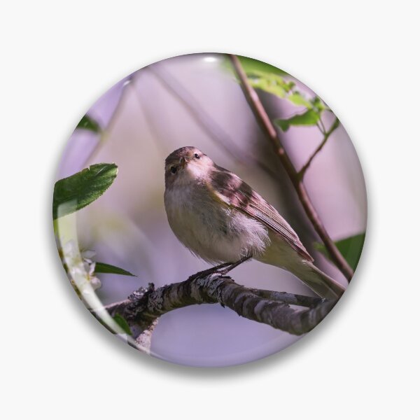 Item preview, I Love Bird Cherry Flowers. Willow Warbler designed and sold by Jouko Lehto Photography.