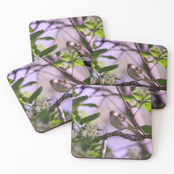 Item preview, I Love Bird Cherry Flowers. Willow Warbler designed and sold by Jouko Lehto Photography.