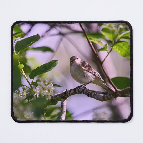 Item preview, I Love Bird Cherry Flowers. Willow Warbler designed and sold by Jouko Lehto Photography.