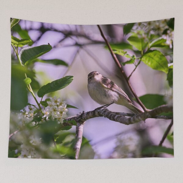 Item preview, I Love Bird Cherry Flowers. Willow Warbler designed and sold by Jouko Lehto Photography.