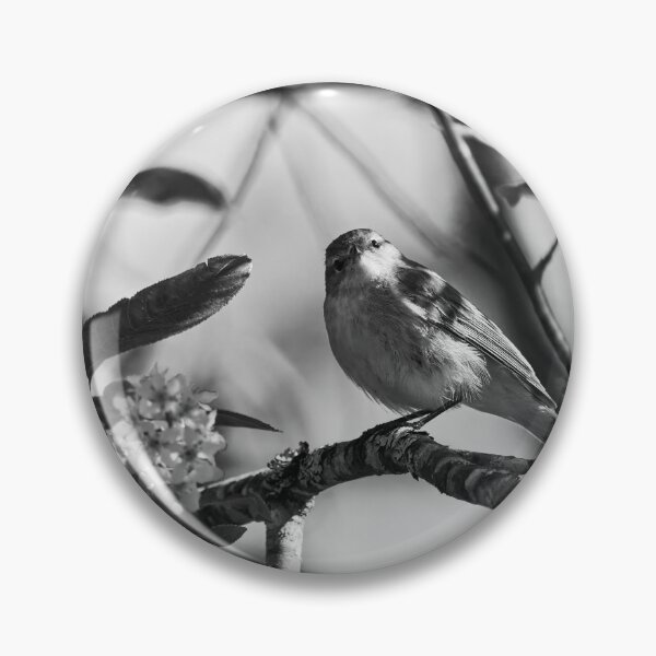 Item preview, I Love Bird cherry flowers. Willow Warbler bw designed and sold by Jouko Lehto Photography.