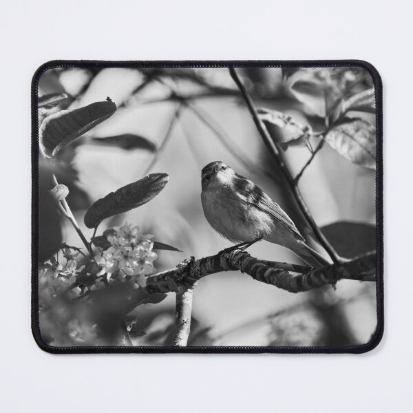 Item preview, I Love Bird cherry flowers. Willow Warbler bw designed and sold by Jouko Lehto Photography.