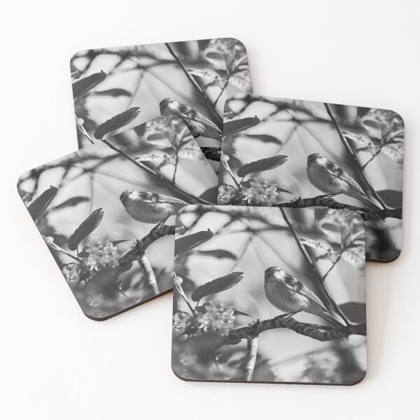 Item preview, I Love Bird cherry flowers. Willow Warbler bw designed and sold by Jouko Lehto Photography.