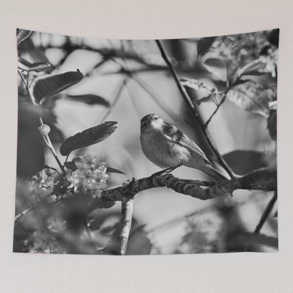 Item preview, I Love Bird cherry flowers. Willow Warbler bw designed and sold by Jouko Lehto Photography.