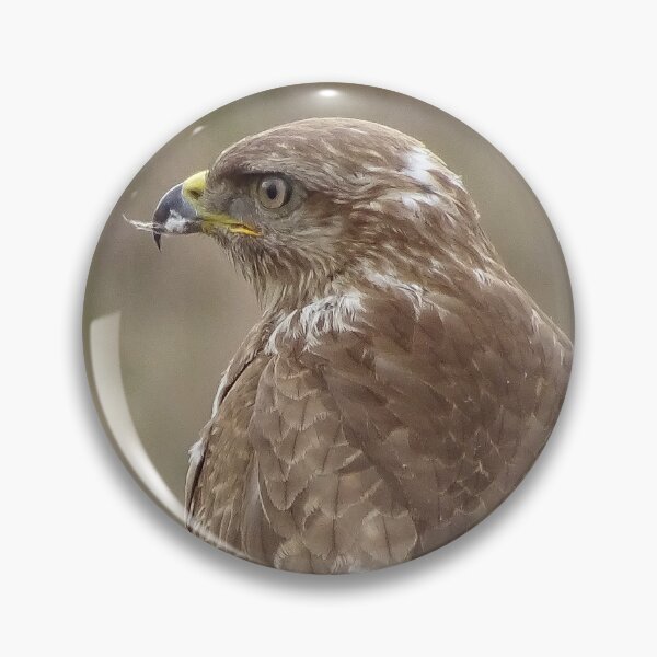 Item preview, Buzzard Close-Up - Watchful Eyes of the Wild designed and sold by tothkataphoto.