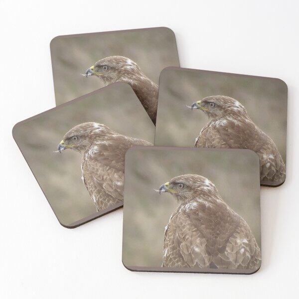 Item preview, Buzzard Close-Up - Watchful Eyes of the Wild designed and sold by tothkataphoto.