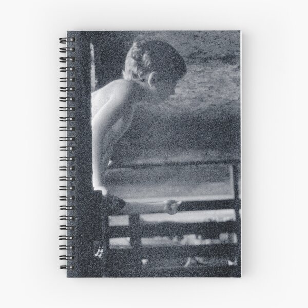 Item preview, Peering into the Barn designed and sold by Wayne King.