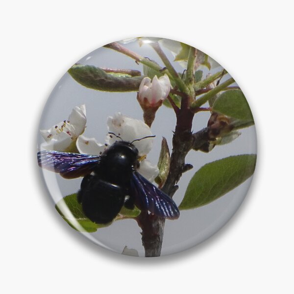 Item preview, Violet Carpenter Bee on Spring Blossoms designed and sold by tothkataphoto.