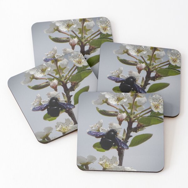 Item preview, Violet Carpenter Bee on Spring Blossoms designed and sold by tothkataphoto.