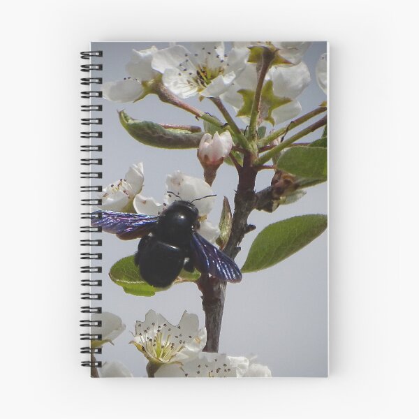 Item preview, Violet Carpenter Bee on Spring Blossoms designed and sold by tothkataphoto.
