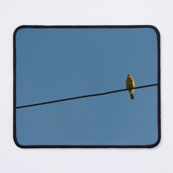 Item preview, Bird on wire designed and sold by carolmaia.