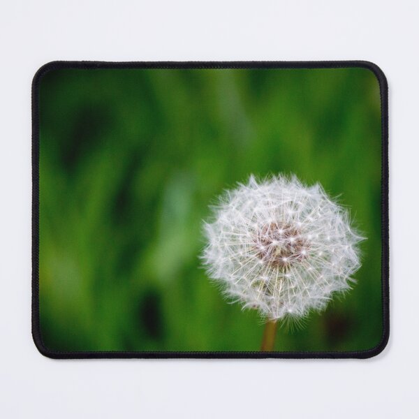 Item preview, Dandelion designed and sold by Plyndara.