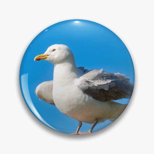 Item preview, Herring Gull Larus-argentatus Perched On A Lamp-post  designed and sold by Dorset Girl.