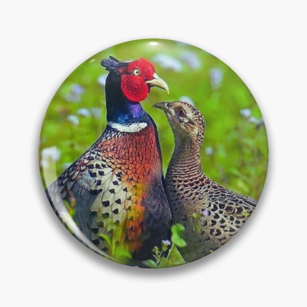 Item preview, Pheasants. designed and sold by di-Vera-Rosati.