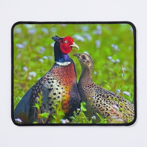 Item preview, Pheasants. designed and sold by di-Vera-Rosati.