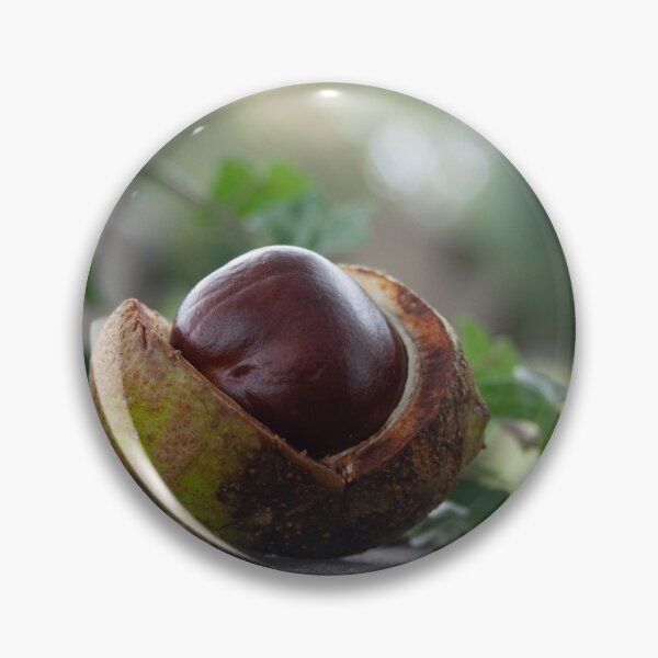 Item preview, Chestnut in graveyard designed and sold by Plyndara.