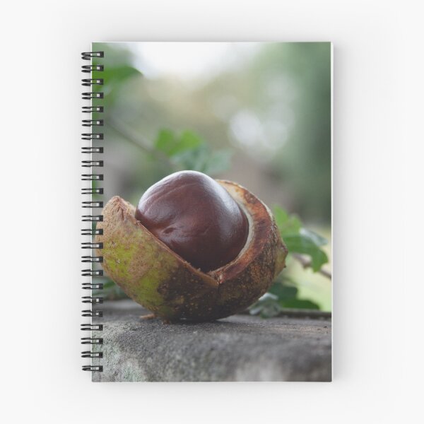 Item preview, Chestnut in graveyard designed and sold by Plyndara.