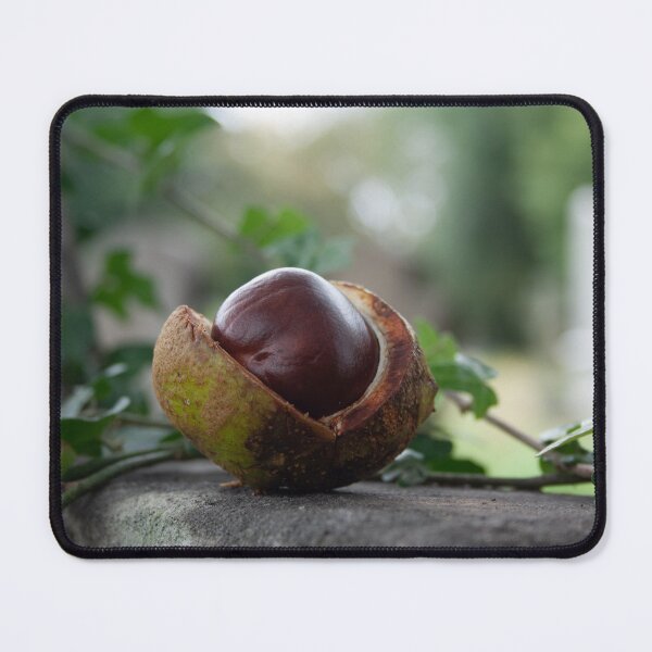 Item preview, Chestnut in graveyard designed and sold by Plyndara.