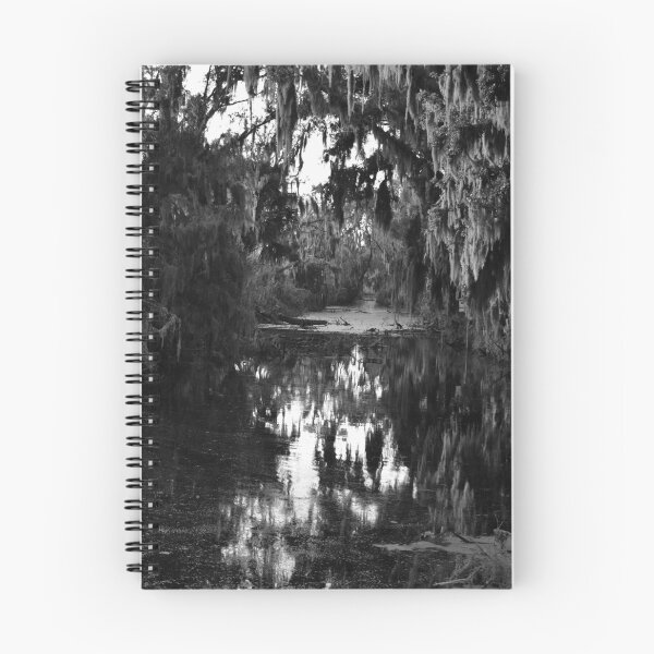 Item preview, Alligator Alley Canal Black And White designed and sold by MercerImages.