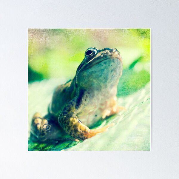 Item preview, Ribbit designed and sold by Claire Penn.