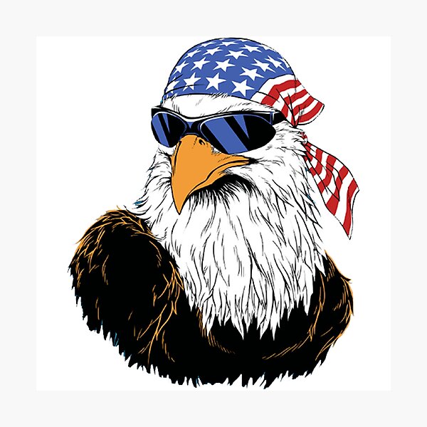 4th of July - Patriotic Eagle with Glasses - Flag USA - Sticker Photographic Print