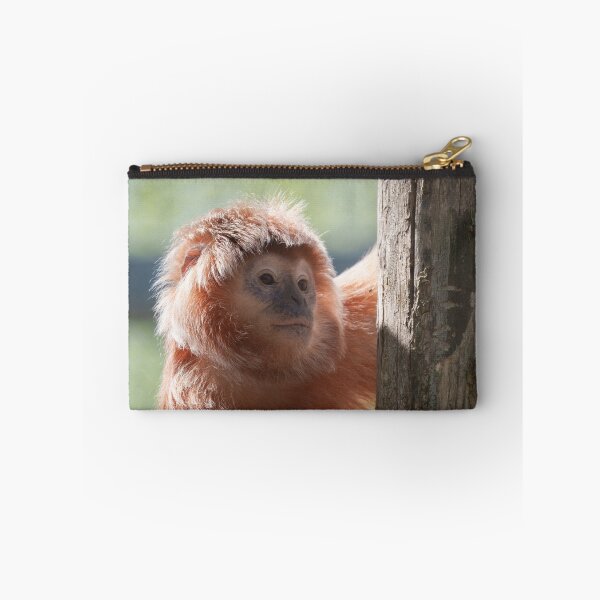 Item preview, East Javan Langur with Backlight Glow designed and sold by rawshutterbug.