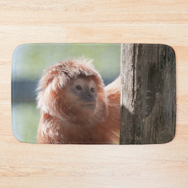 Item preview, East Javan Langur with Backlight Glow designed and sold by rawshutterbug.