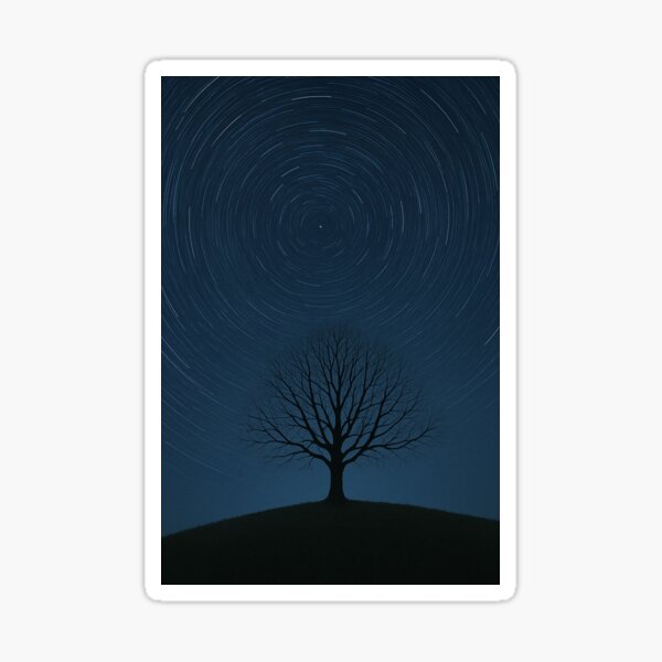 Naked tree below the stars Sticker