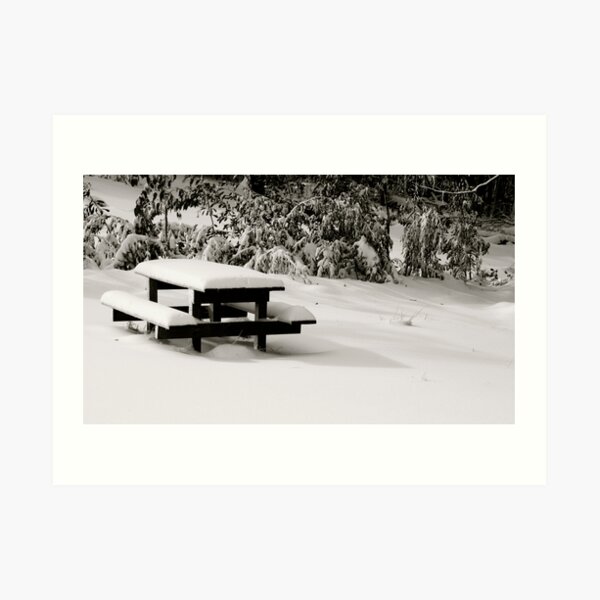 Bench Marked Art Print