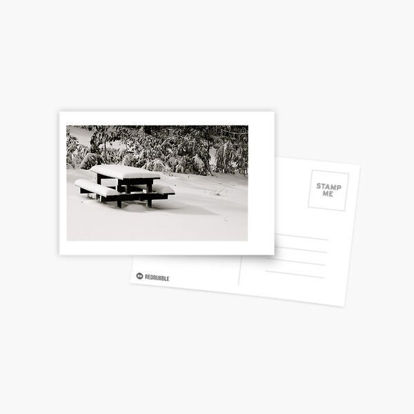 Bench Marked Postcard
