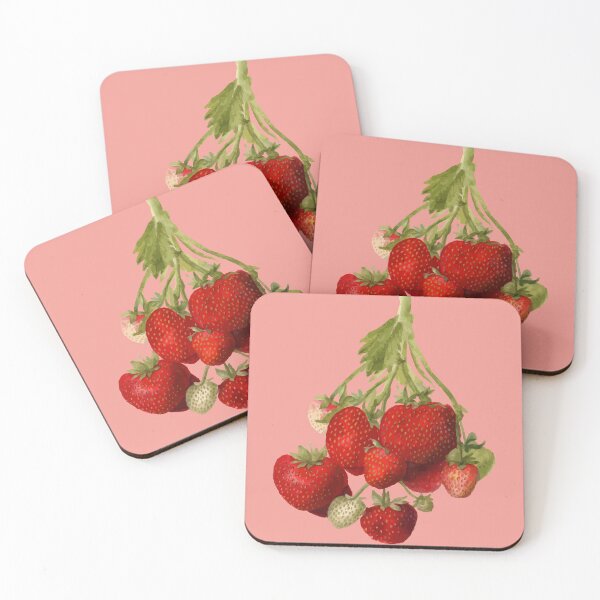 Item preview, Strawberry Plant Pomological Botanical Vector Illustration designed and sold by taiche.