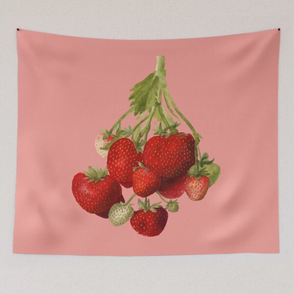 Item preview, Strawberry Plant Pomological Botanical Vector Illustration designed and sold by taiche.