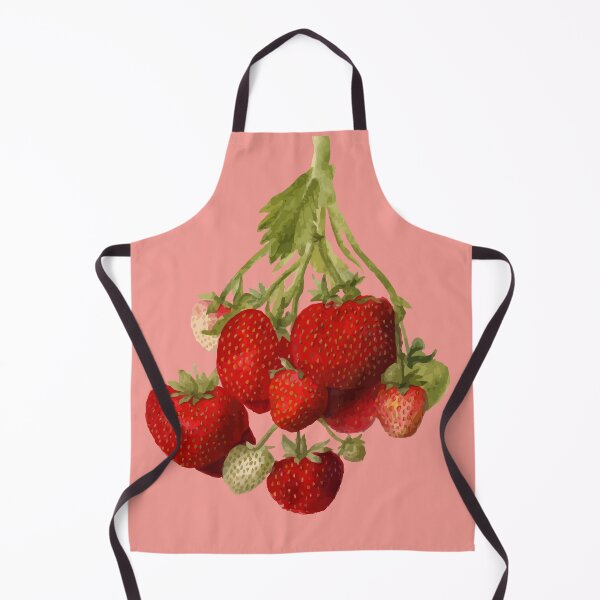Item preview, Strawberry Plant Pomological Botanical Vector Illustration designed and sold by taiche.