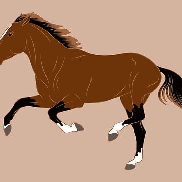 Aperçu de l'œuvre Cheval Afghan, dessin cheval bai, cheval de selle, races de chevaux de l'Afghanistan de WebEquitation®