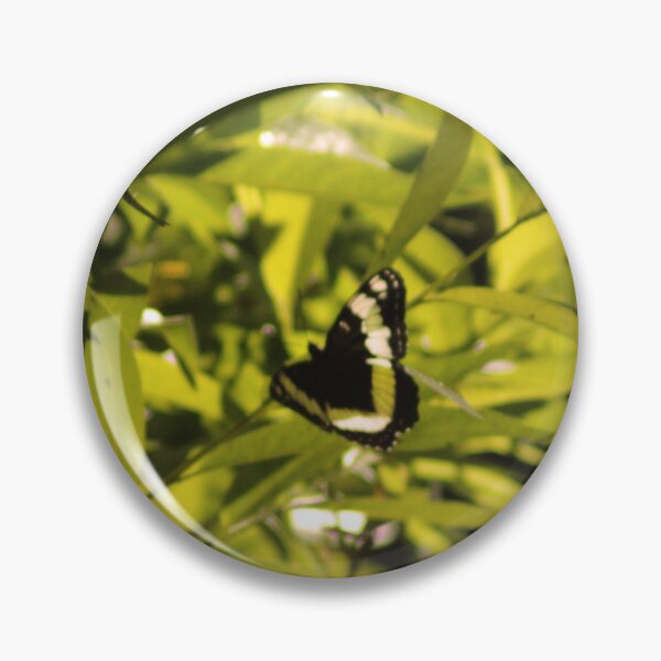 Item preview, Black Butterfly designed and sold by Photos, and Drawings, and Hybrids!!!!! Oh my!.