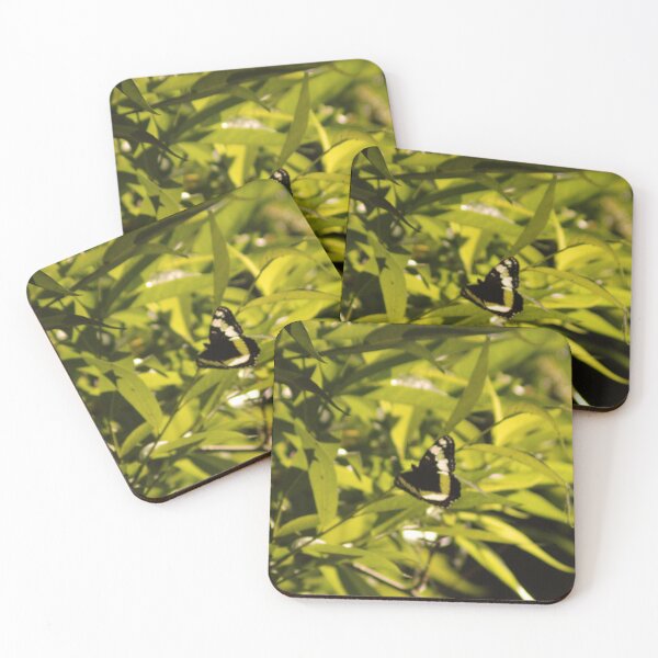 Item preview, Black Butterfly designed and sold by Photos, and Drawings, and Hybrids!!!!! Oh my!.