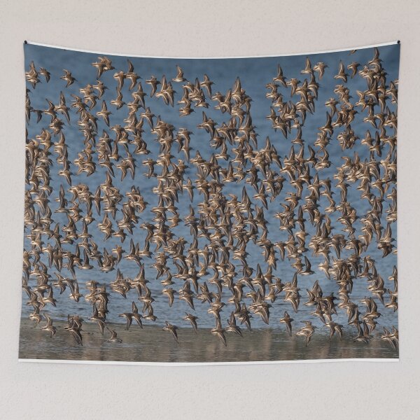 Item preview, Peep Swarm designed and sold by DWMMPhotography.