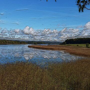 Artwork thumbnail, View over Kearns Bay, Lough Key by designbywhacky
