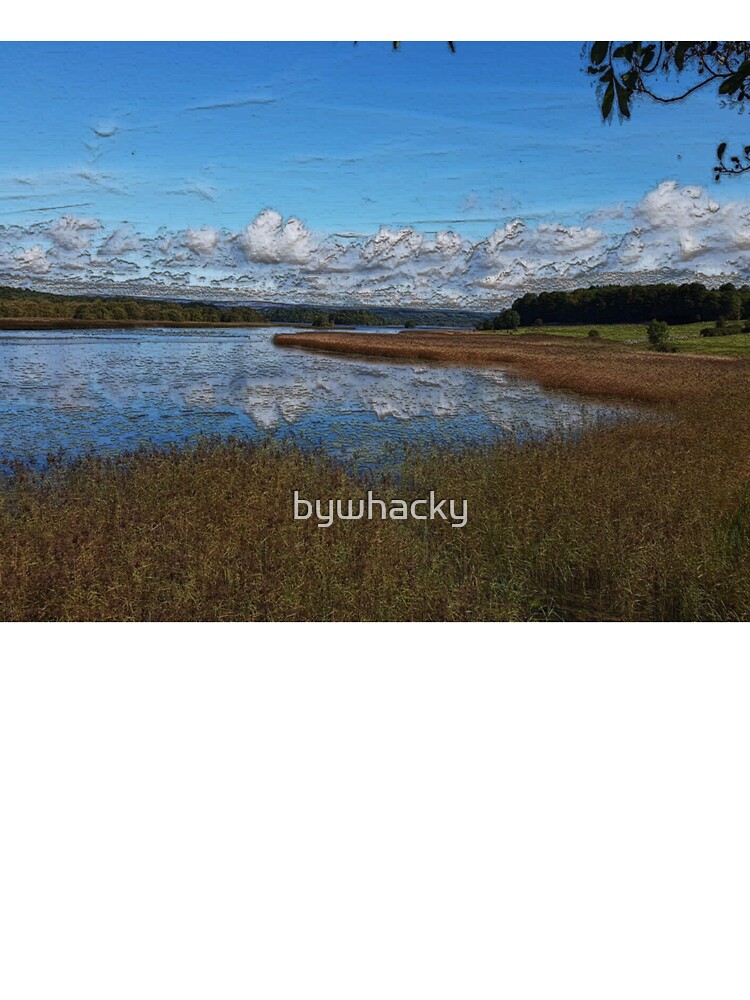 Thumbnail 7 of 7, Oversized T-Shirt, View over Kearns Bay, Lough Key designed and sold by bywhacky.