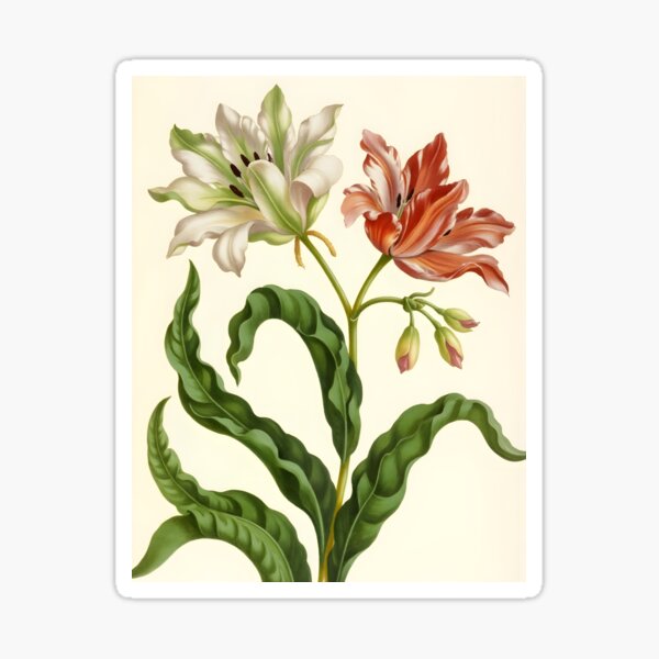 Artikel-Vorschau von Antiker Lilien-Botanischer Druck, designt und verkauft von Fullspace.