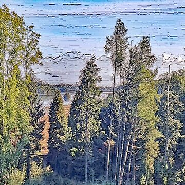 Artwork thumbnail, View to Lough Key by designbywhacky