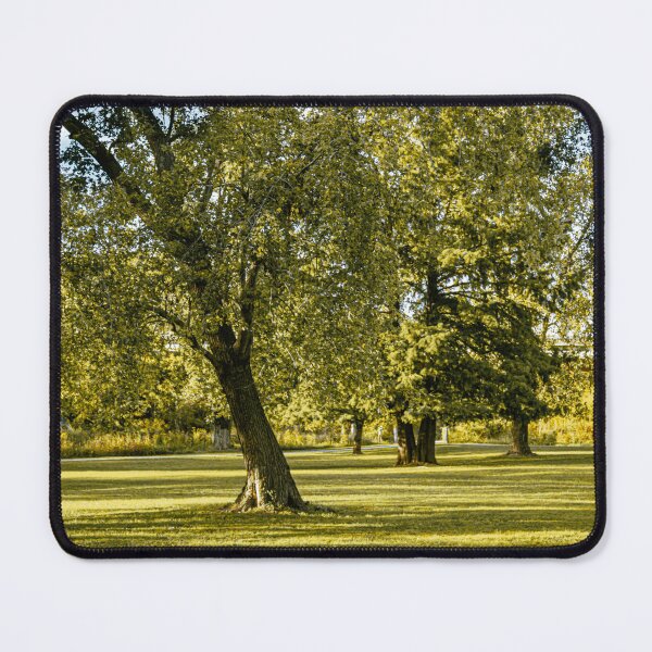 Item preview, Eureka - Missouri designed and sold by edenstudiolab.