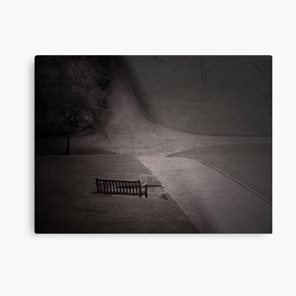 Late Metal Print