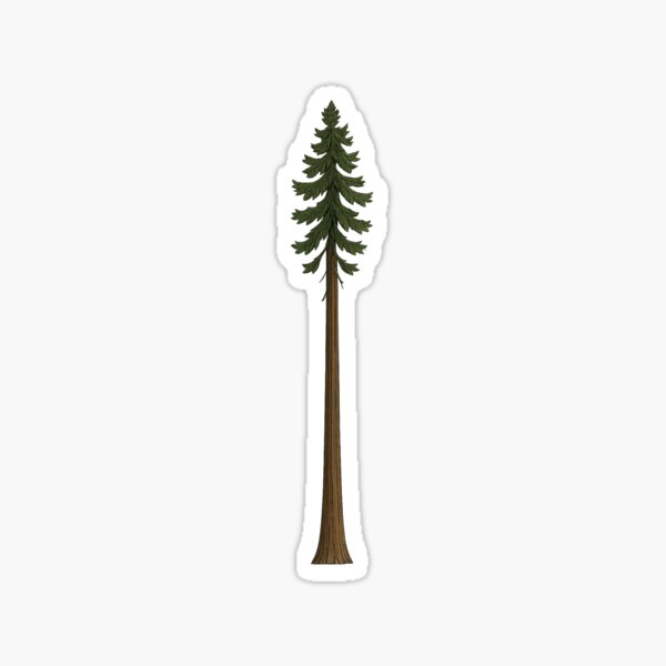 Item preview, Tall Redwood Tree Sticker designed and sold by Wandertrace.