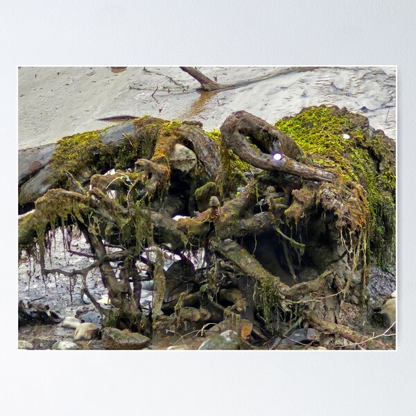 Item preview, Rootbound River designed and sold by WFP87.