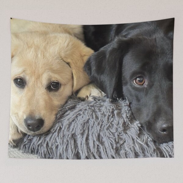 Item preview, Marnie and Bobbie - Labradors designed and sold by Allenart_UK.